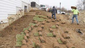 landscaping service in south lebanon landscaping supplies of sod