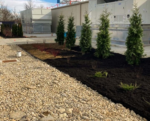 Mulch and trees from a commercial landscaping project for ADM Flavors.