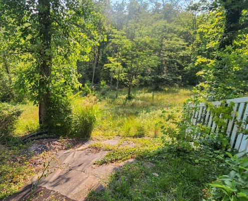 Before image of a property cleanup project in Green Township.