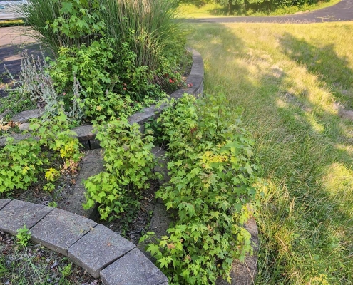 Before image of a property cleanup project in Green Township.