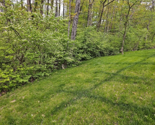 Image of a cleanup job in Mason, Ohio.