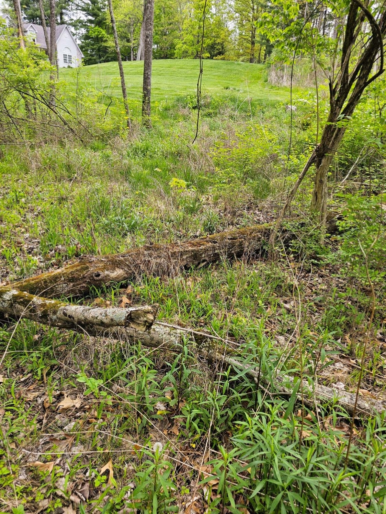 Image of a cleanup job in Mason, Ohio.