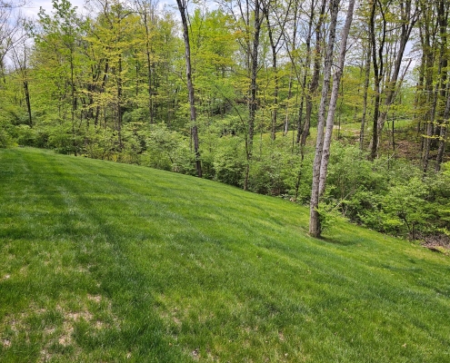 Image of a cleanup job in Mason, Ohio.