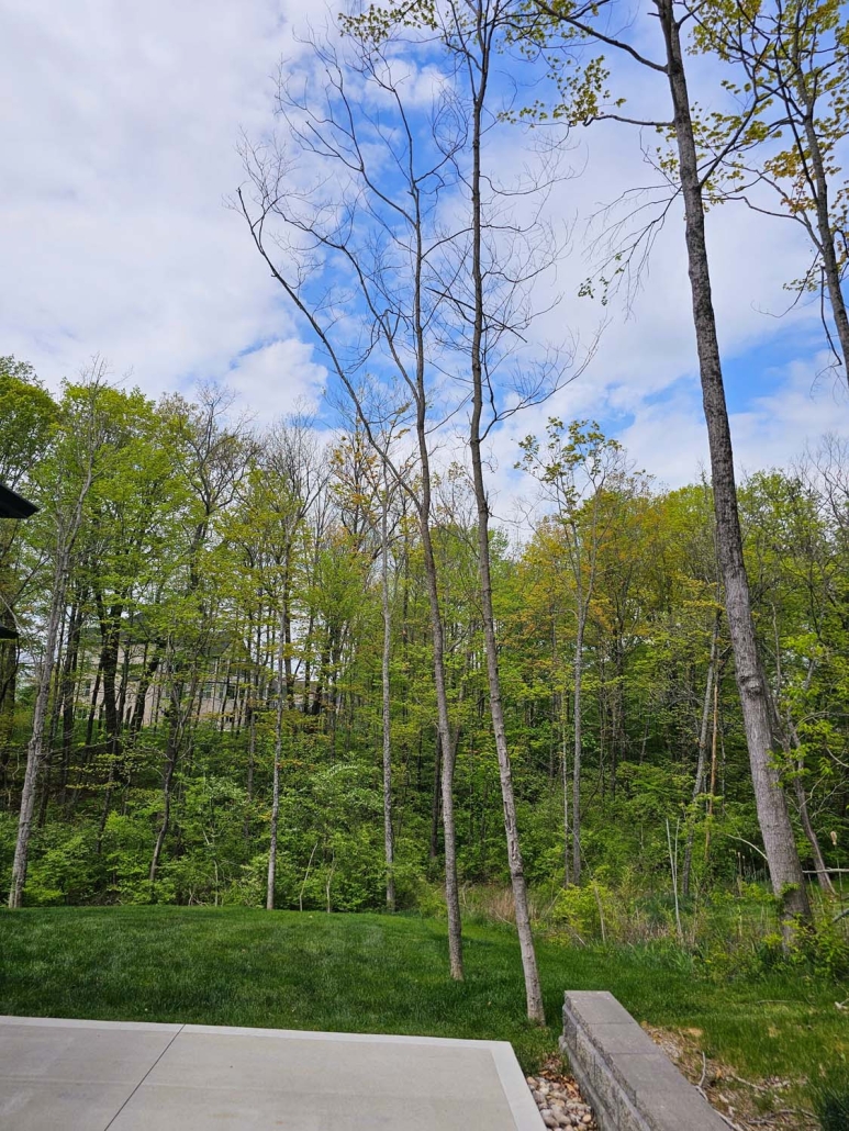 Image of a cleanup job in Mason, Ohio.